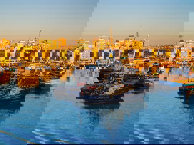 Suez Frieghts