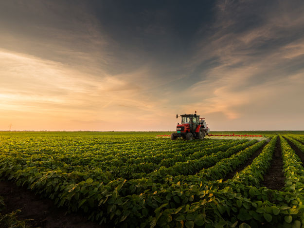 Crop Field 2