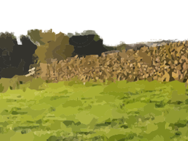 Drystone Wall
